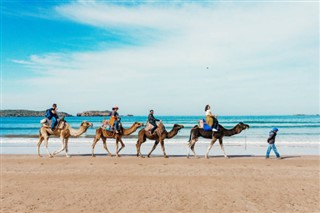 Tunis