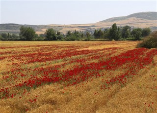 Turčija