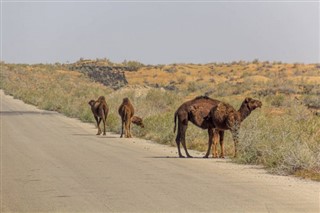 تركمانستان