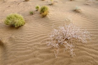 Turkmenia