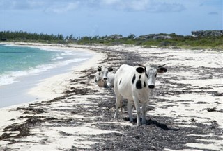 îles