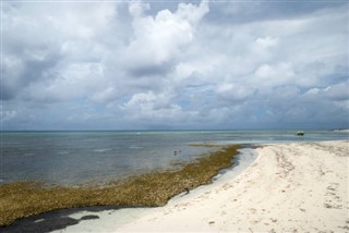 Insulele
