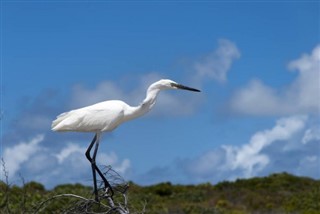 特克斯和凯科斯群岛