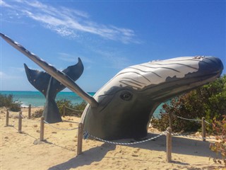 特克斯和凱科斯群島