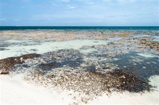 特克斯和凱科斯群島