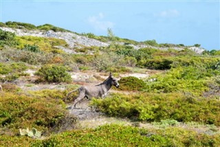 特克斯和凱科斯群島