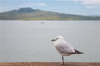 Tuvalu