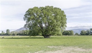 तुवालु