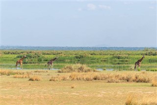 উগান্ডা