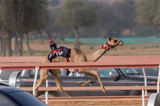 アラブ首長国連邦