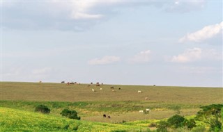 Uruguay