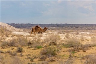 Usbekistan