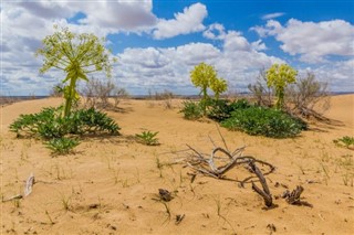 Uzbekistanas