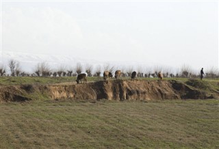 উজ্বেকিস্থান