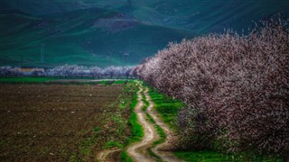 Uzbekistanas