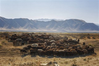 Uzbekistan