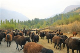 Özbekistan