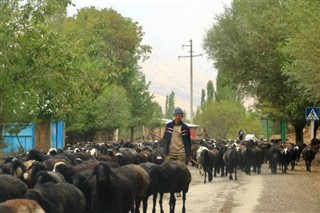 Uzbekistan