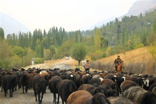 Usbekistan