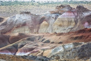 أوزبكستان