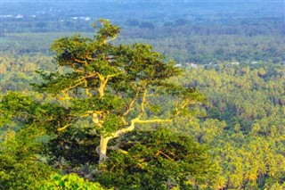 Vanuatu