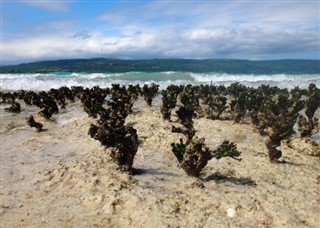 Vanuatu