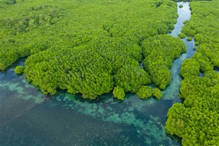 ভেনেজুয়েলা