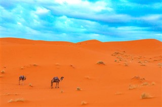 Sahara