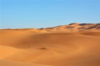 sahara