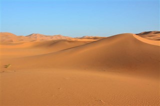 Sahara