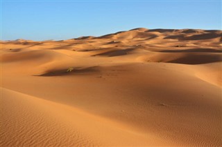 Sahara