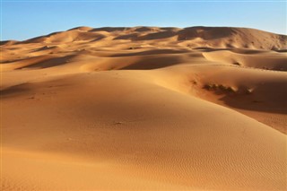 Sahara