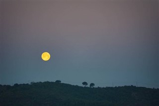 Γέμενη