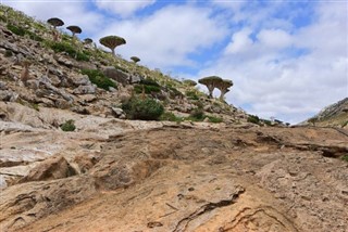 Γέμενη