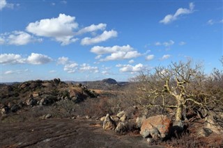 زامبيا