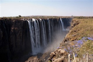 Zambia