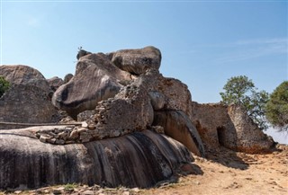 زامبيا