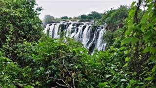 Zambia