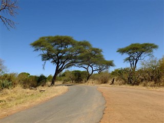 Zambia