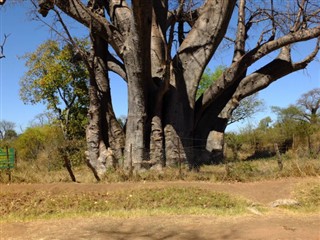 Zambiya