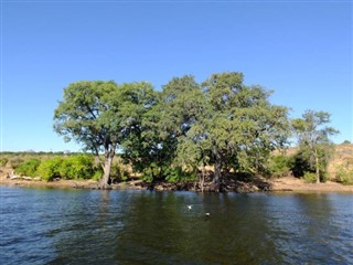 Zambia