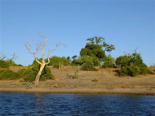 জাম্বিয়া