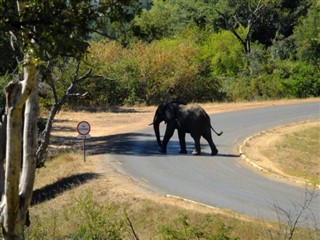 Zimbabue