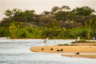 Zimbabvė