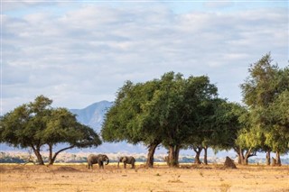 Zimbabvė