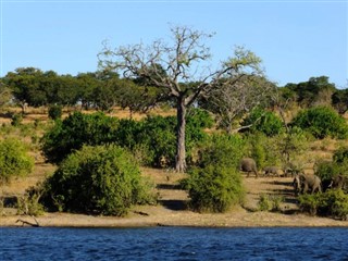 Simbabve