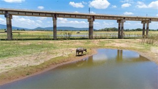 জিম্বাবুয়ে