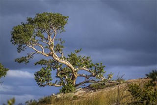 Zimbabue