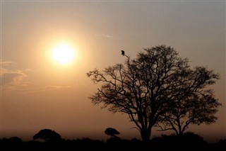 जिम्बाब्वे