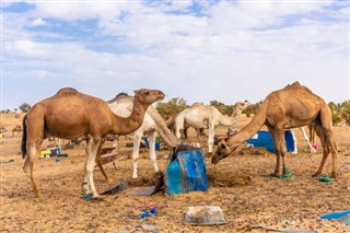 Algeria